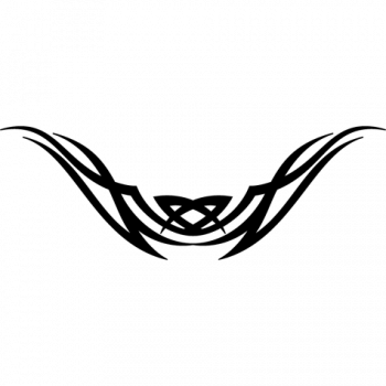 Trib 0041 Trib 0041