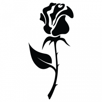 Rose-006