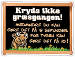 Tyren-på-græsset